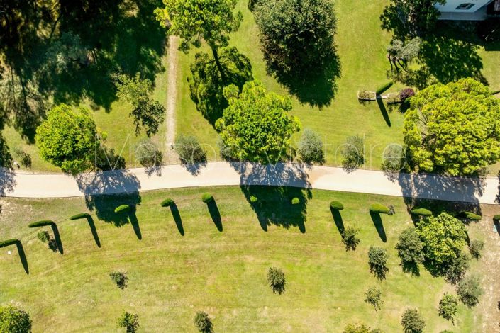 Image No.5-8 Bed House for sale