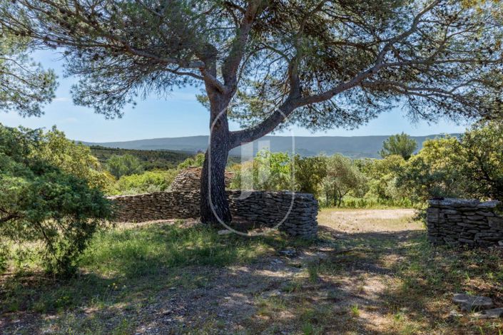 Image No.11-4 Bed House for sale