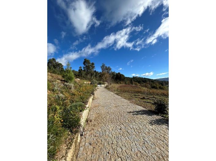 Image No.6-3 Bed House for sale