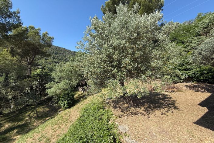 Image No.13-2 Bed House for sale