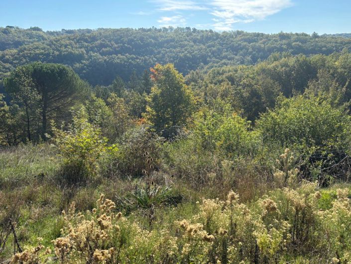 Image No.3-2 Bed House for sale