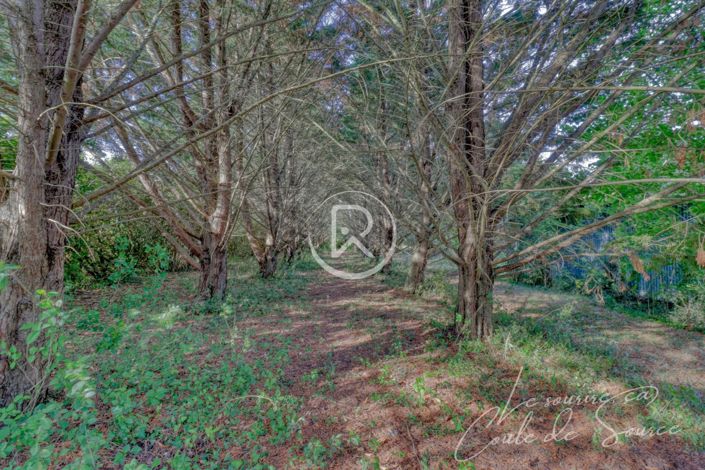 Image No.11-3 Bed House for sale