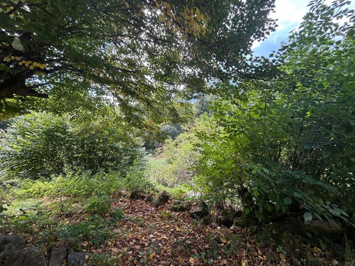 Image No.11-5 Bed House for sale