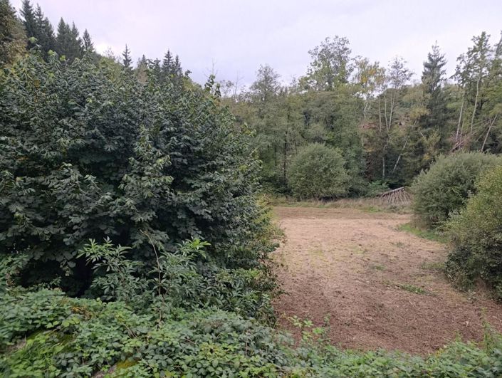 Image No.3-5 Bed House for sale