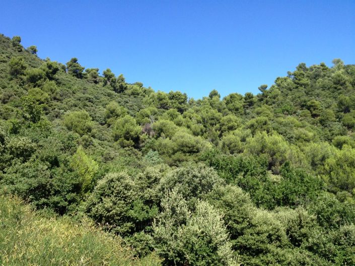 Image No.7-7 Bed Property for sale