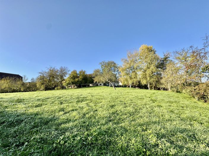 Image No.22-3 Bed House for sale