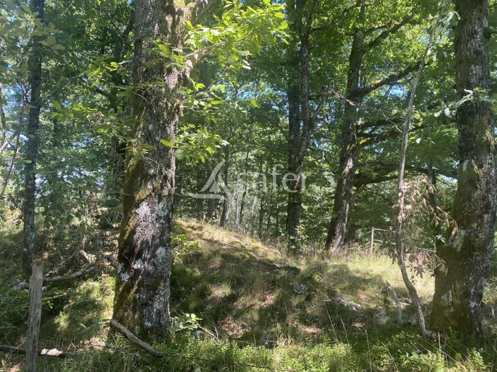 Image No.6-2 Bed House for sale