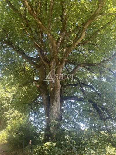 Image No.7-2 Bed House for sale