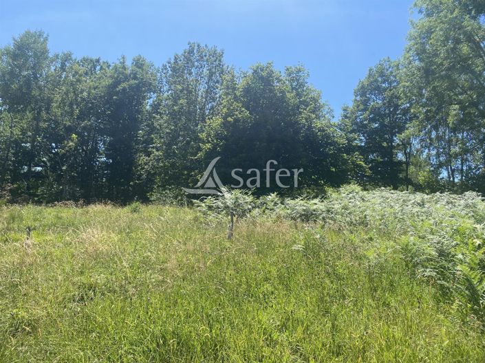 Image No.8-2 Bed House for sale