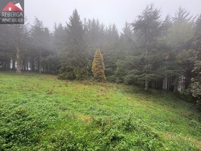 Image No.34-3 Bed House for sale