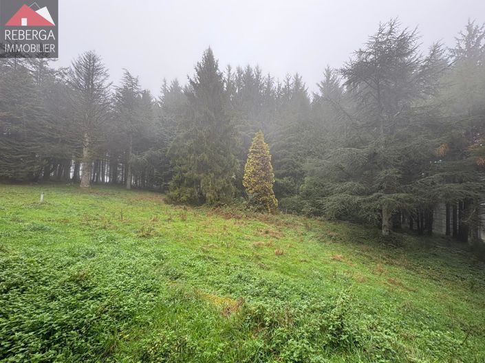 Image No.35-3 Bed House for sale