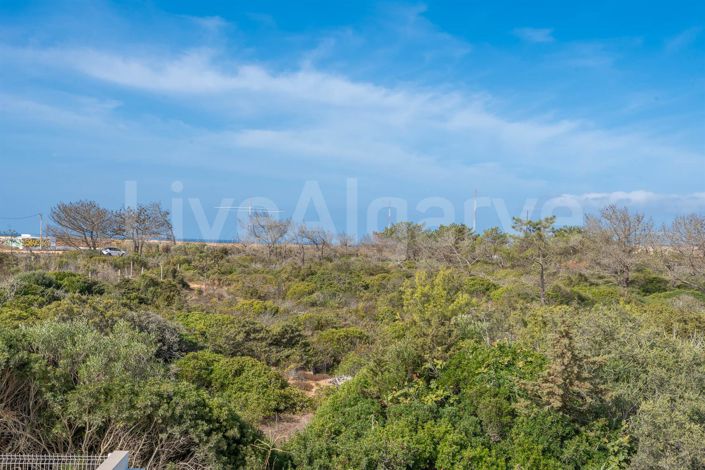 Image No.19-3 Bed House for sale