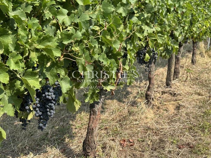 Image No.24-4 Bed House for sale