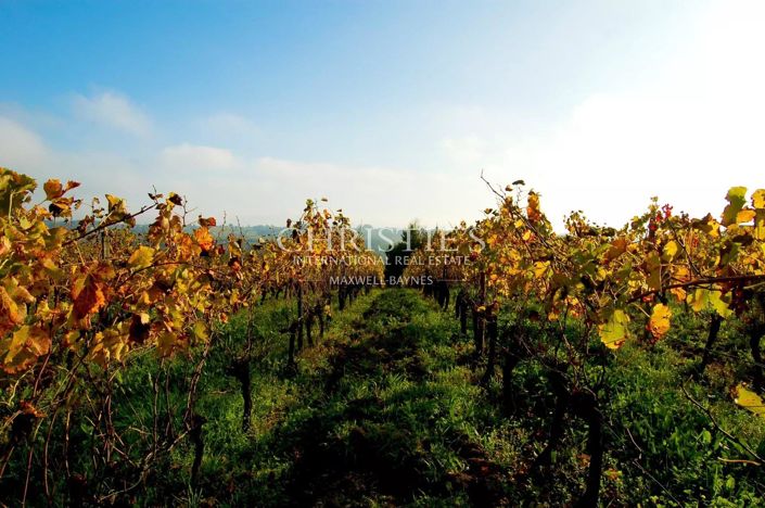 Image No.11-4 Bed House for sale