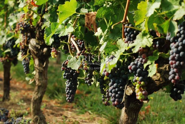 Image No.2-3 Bed House for sale