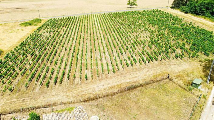 Image No.25-7 Bed House for sale