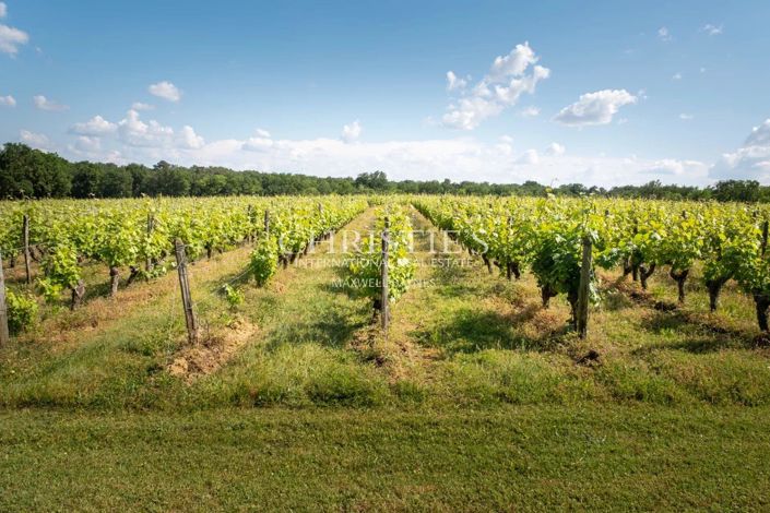 Image No.4-6 Bed House for sale