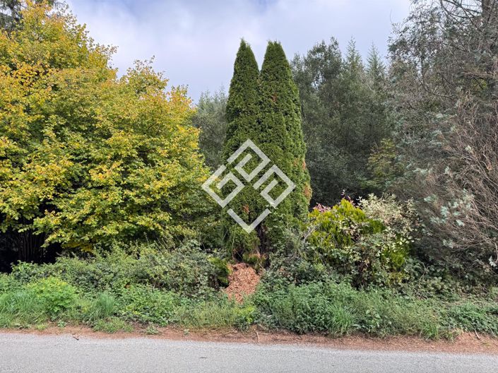 Image No.16-3 Bed House for sale