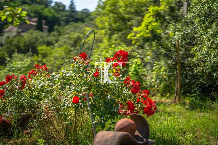 Image No.33-4 Bed House for sale