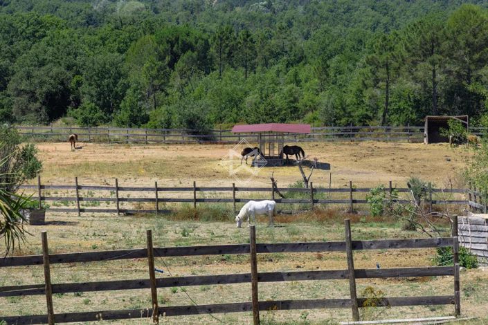 Image No.10-7 Bed House for sale