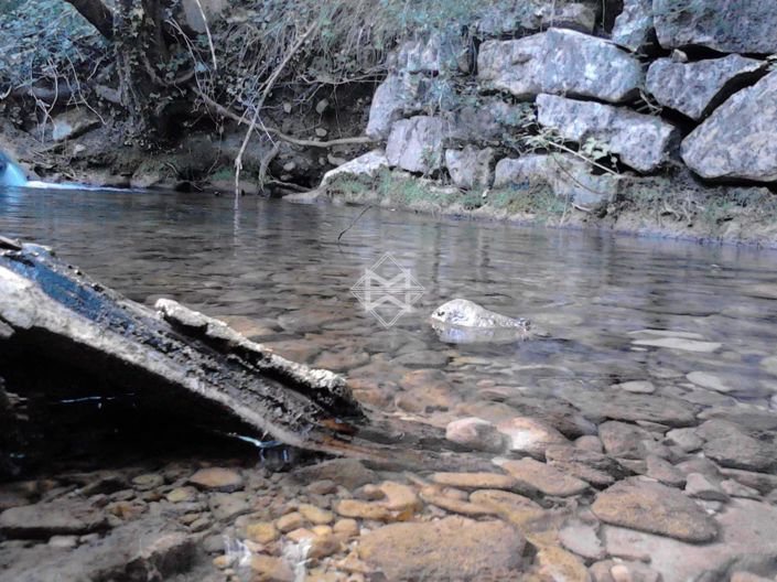 Image No.7-5 Bed House for sale