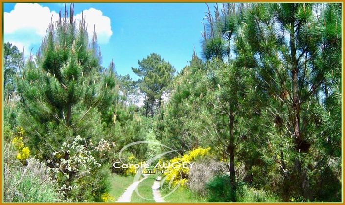 Image No.25-6 Bed House for sale