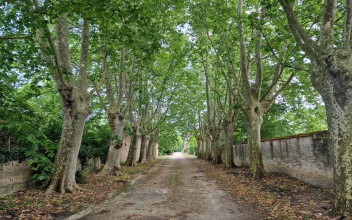 Image No.3-Property for sale