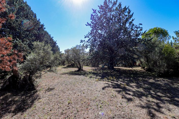 Image No.26-3 Bed House for sale