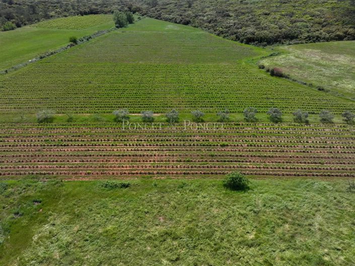 Image No.10-House for sale