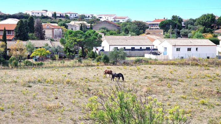 Image No.9-3 Bed House for sale