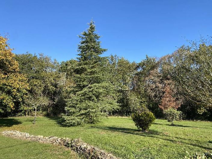 Image No.9-3 Bed House for sale