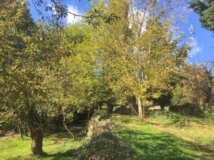 Image No.2-House for sale