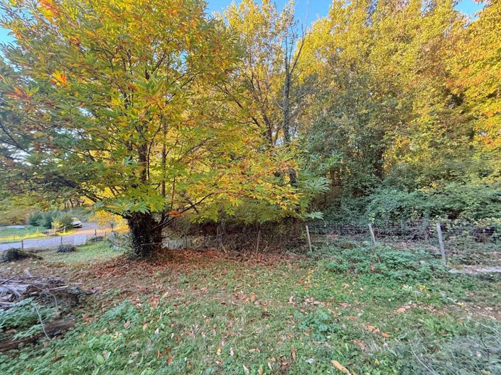 Image No.3-House for sale