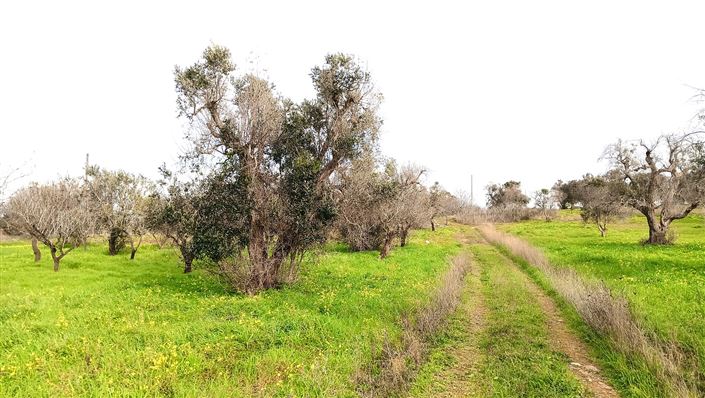 Image No.28-2 Bed Property for sale