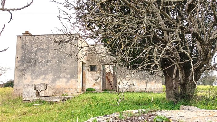 Image No.10-2 Bed Property for sale