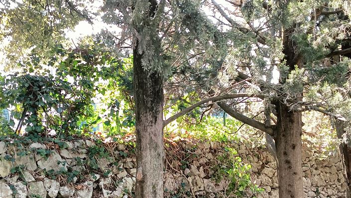 Image No.46-7 Bed Property for sale