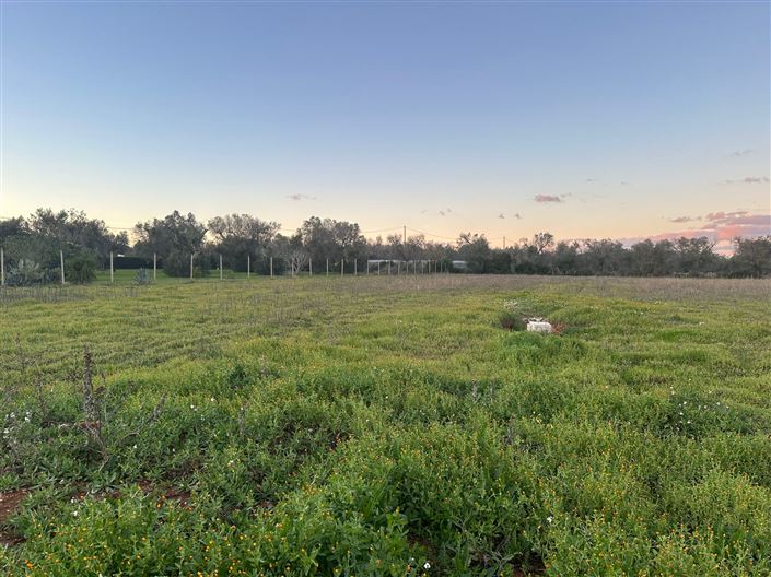 Image No.13-1 Bed Farmhouse for sale