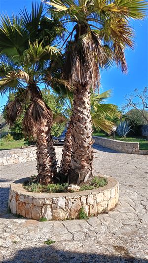 Image No.25-3 Bed Property for sale