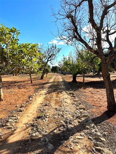 Image No.26-2 Bed Property for sale