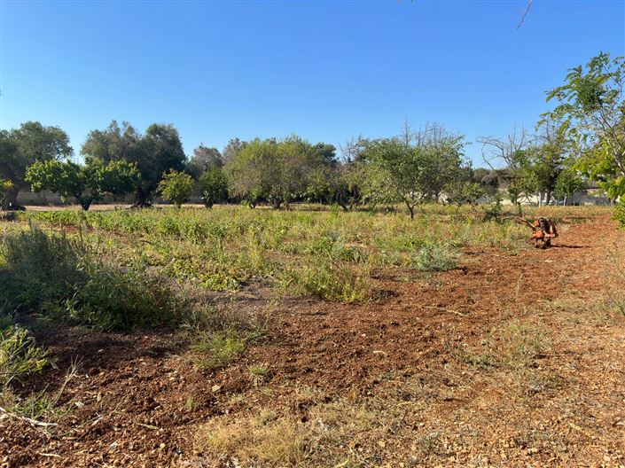 Image No.38-4 Bed Property for sale