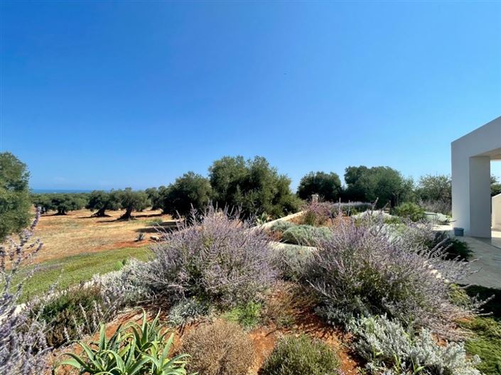 Image No.45-6 Bed Property for sale