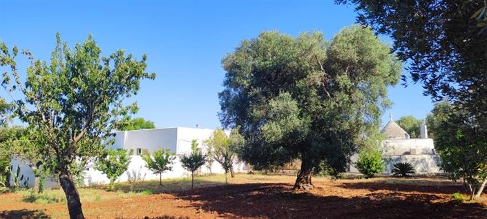 Image No.29-4 Bed Property for sale