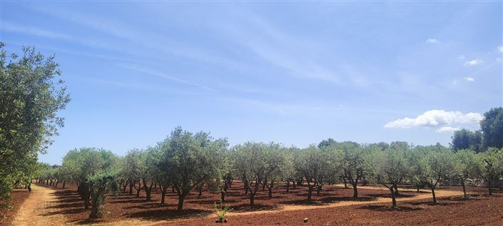 Image No.41-2 Bed Property for sale