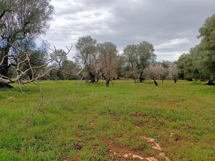 Image No.12-1 Bed Property for sale