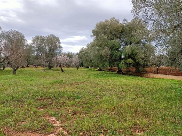 Image No.13-1 Bed Property for sale