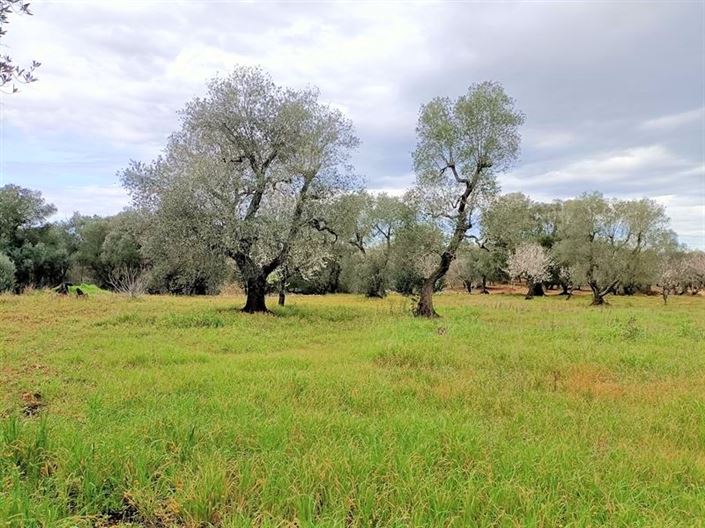 Image No.14-1 Bed Property for sale