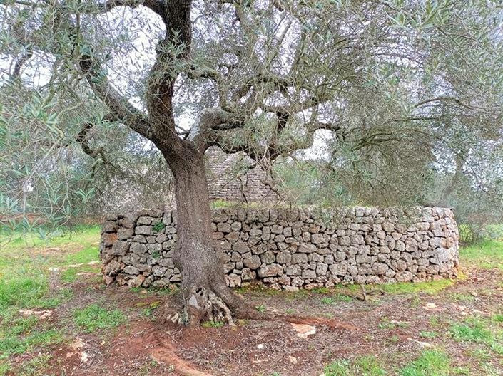 Image No.5-1 Bed Property for sale