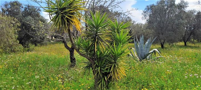 Image No.15-1 Bed Property for sale