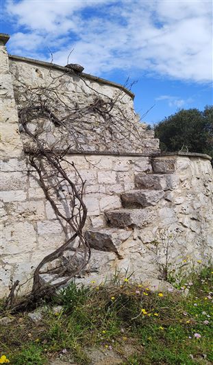 Image No.5-1 Bed Property for sale