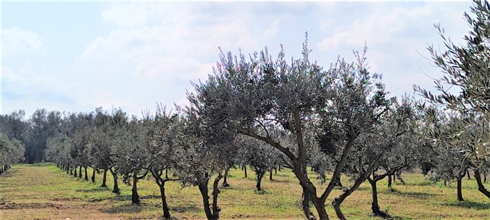 Image No.33-3 Bed Property for sale